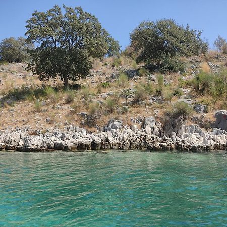 Villa E Olsi Kacupaj Sarande Luaran gambar